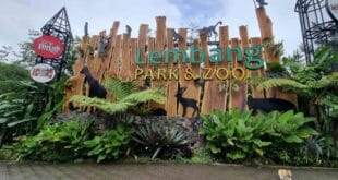 Warga dan wisatawan kembali memadati Lembang Park Zoo di Lembang, Kabupaten Bandung Barat, setelah destinasi wisata ini dibuka kembali pasca penanganan insiden macan tutul